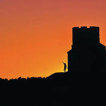 Cozy In With Wifi * 沃希